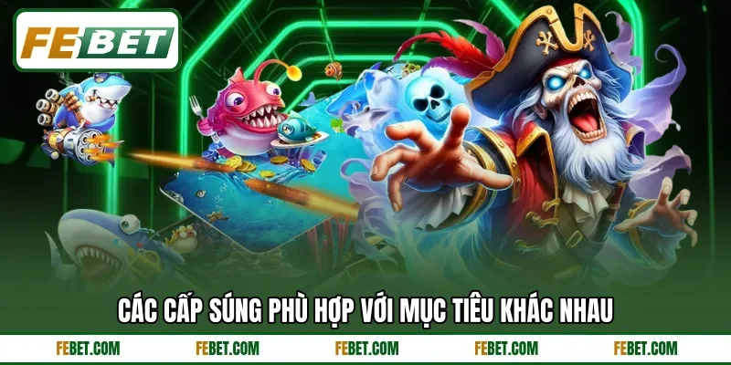 Các cấp súng phù hợp với mục tiêu khác nhau