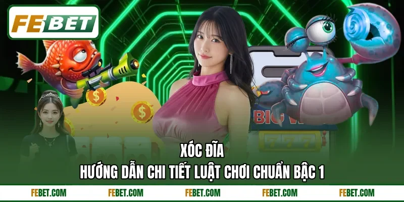 Xóc Đĩa - Hướng Dẫn Chi Tiết Luật Chơi Chuẩn Bậc 1